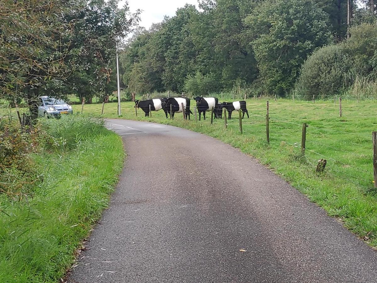 Elferink Hoeve Woudenberg Eksteriør billede