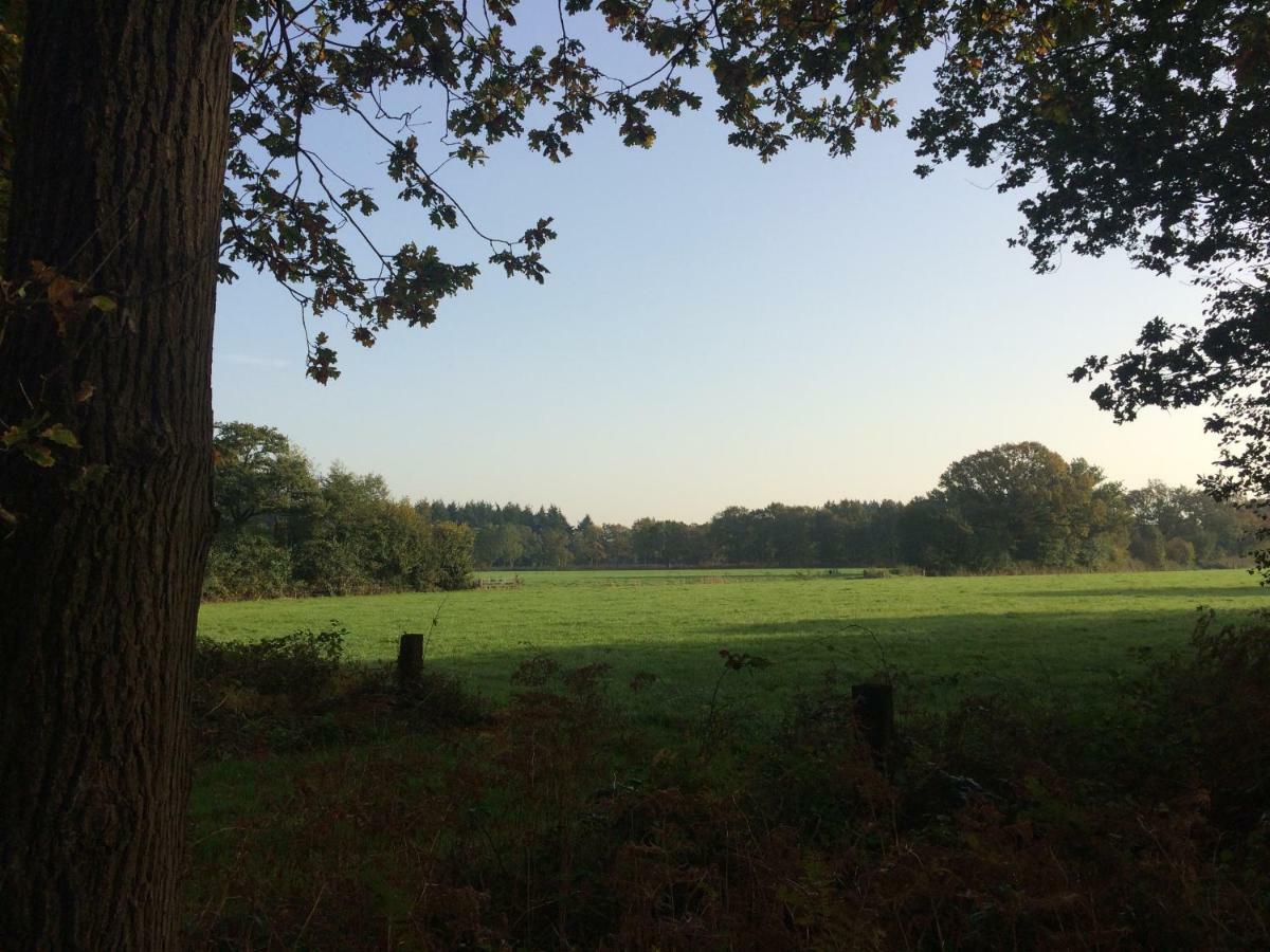 Elferink Hoeve Woudenberg Eksteriør billede